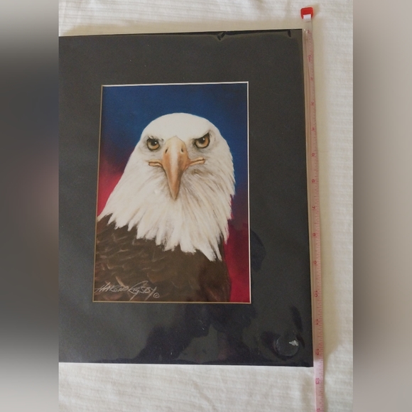 Bald Eagle print - Picture 6 of 15